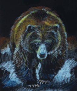 Grizzly Bear Project Image