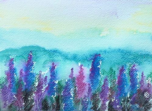 Wild Flowers Project Image