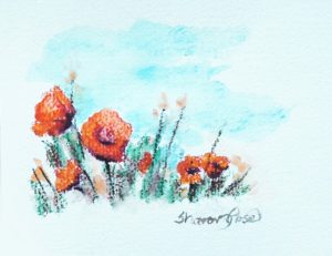 Poppy Sketch Project Image