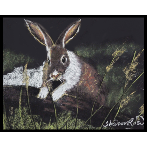 HIPPITY-HOP-ICON