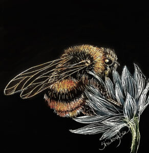 Bumble Bee Project Image