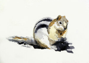 The Chipmunk Project Image