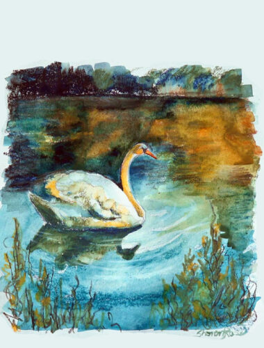 Swan at Dusk Project Image