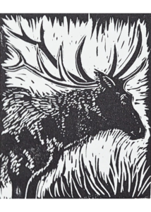 Elk Project Image
