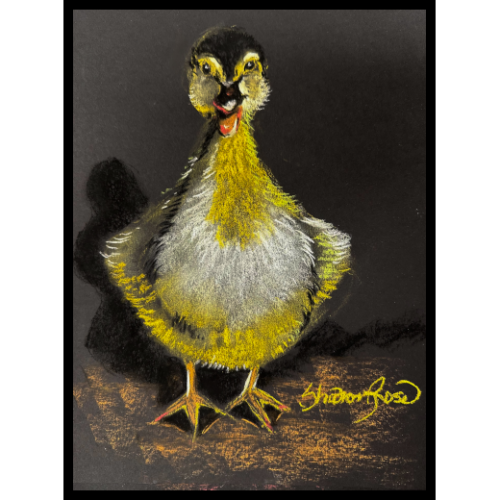 Baby Duck Icon