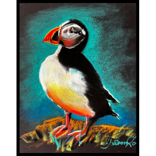 Puffin_icon