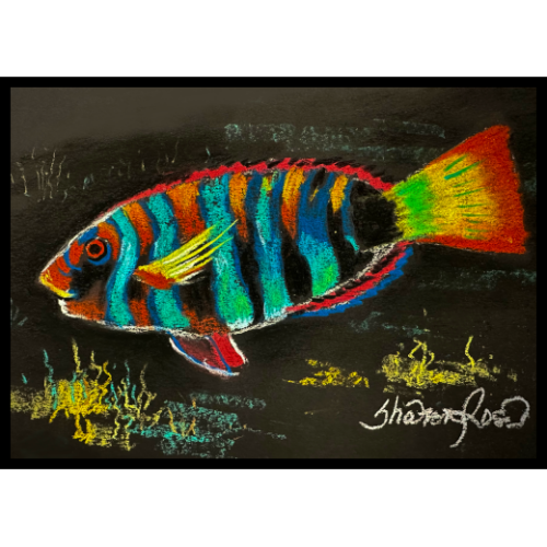 Tropical Fins Icon