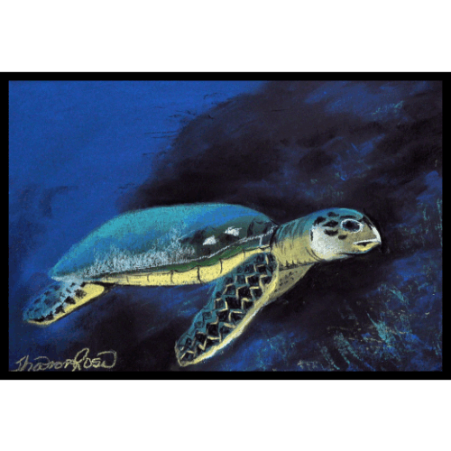 Sea Turtle Icon
